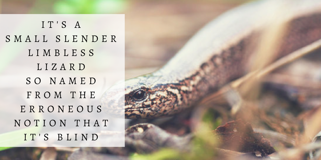 Green and Yellow Photo Quotes Fall Twitter Post (15).png