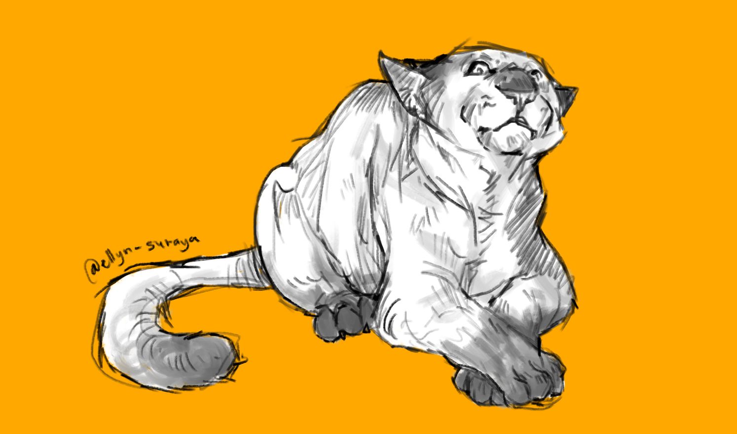 Daily Cat Drawings_17.jpg