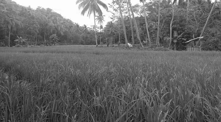 20171209_234335.jpg