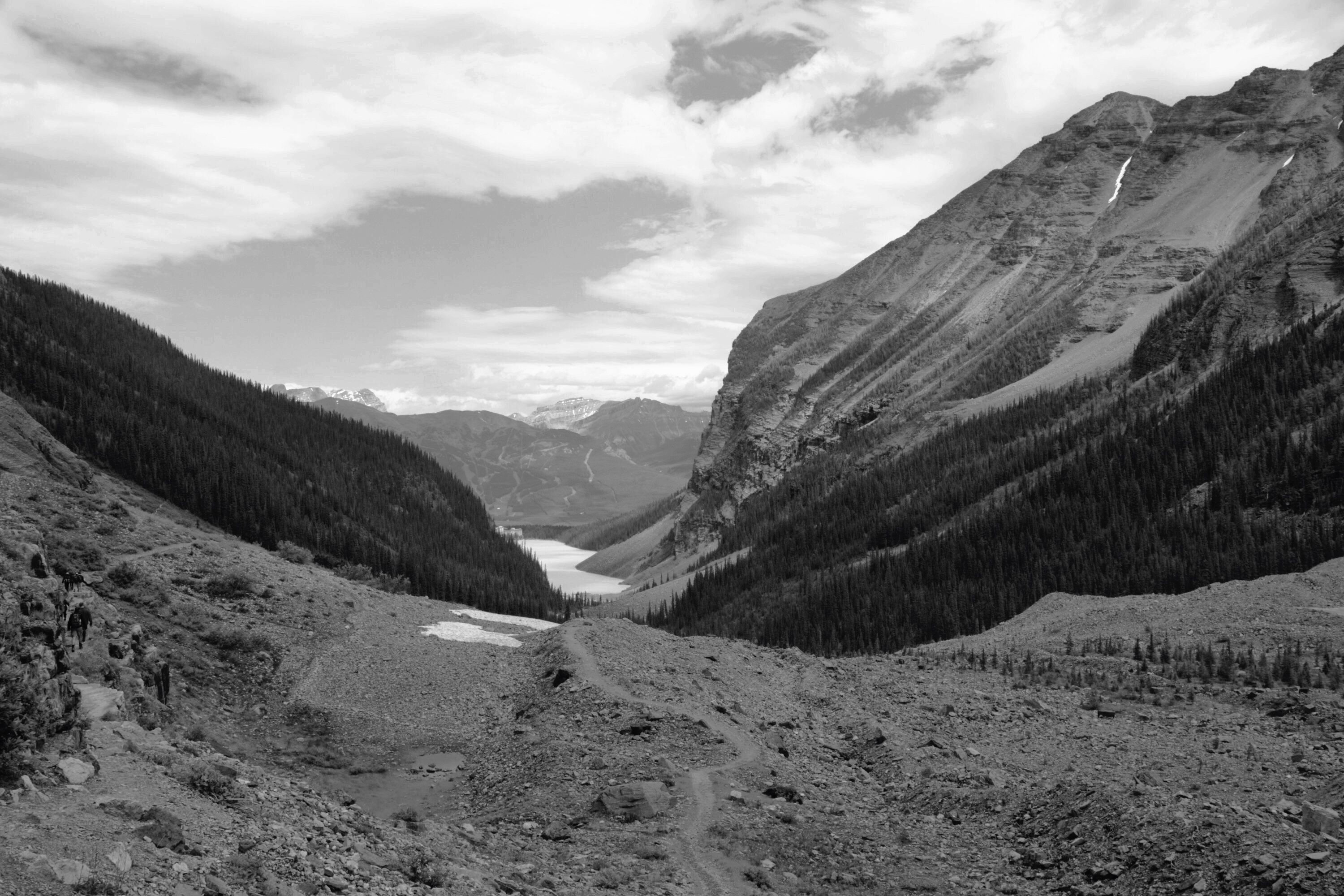 C5229C24-66E4-4C97-A533-C3170626D091.jpeg