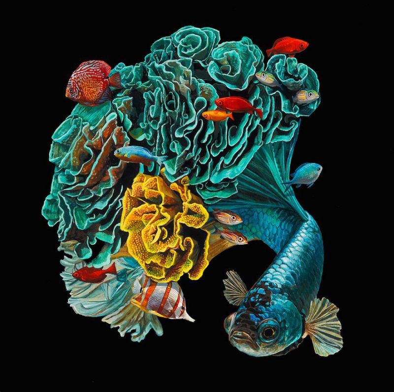 surreal-fish-art-lisa-ericson-7-58590106bfc8d__880.jpg