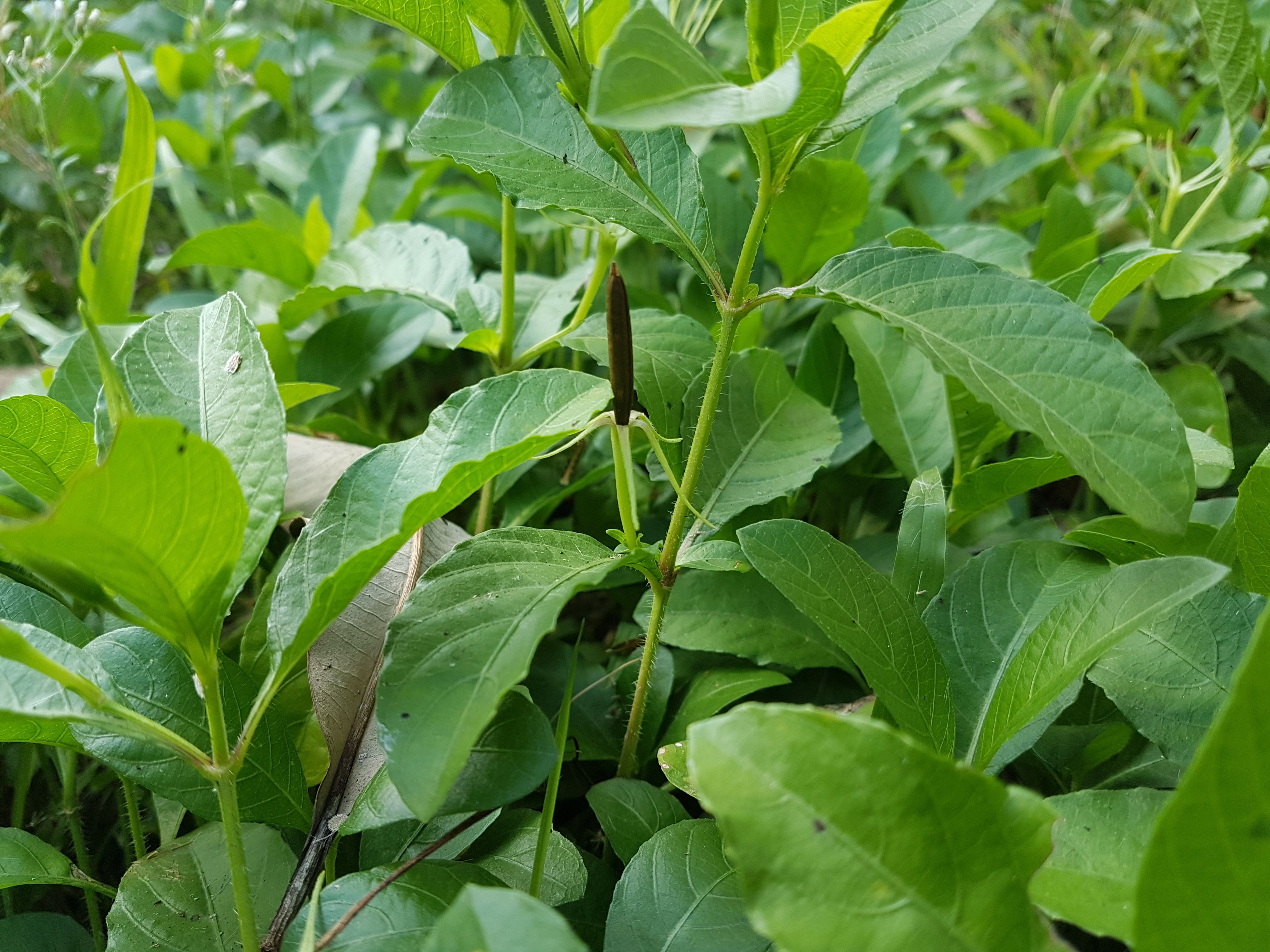 20180307_173356.jpg