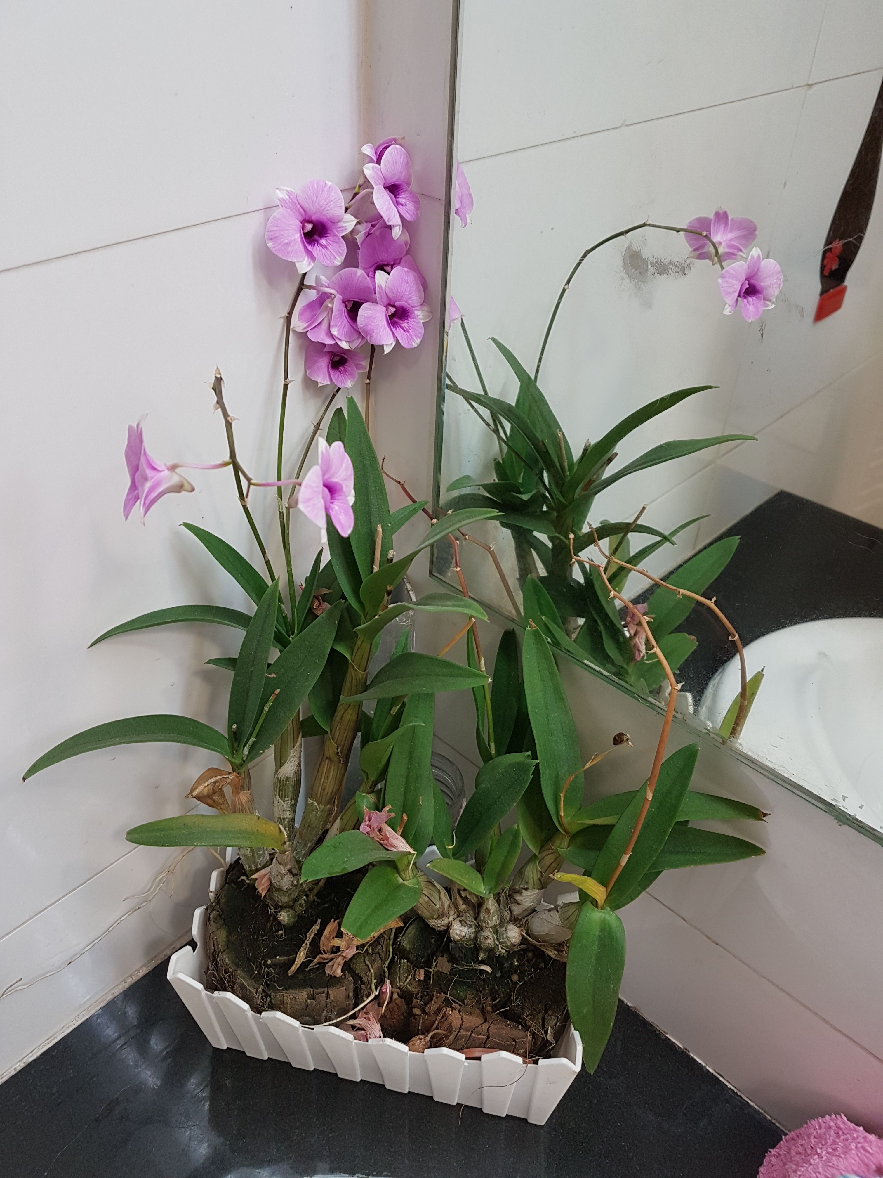 20171215_094608.jpg