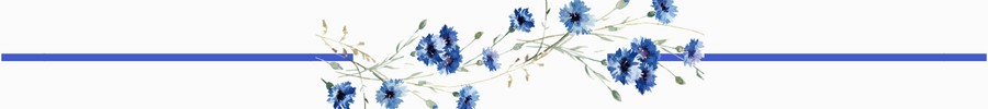 border bunga biru.png