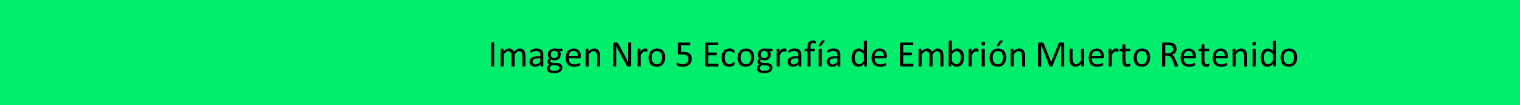 Imagen11111.png