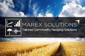 Marex Solutions.jpg