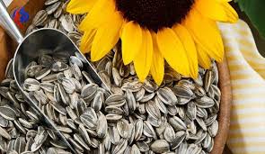 تنزيل (18).jpeg