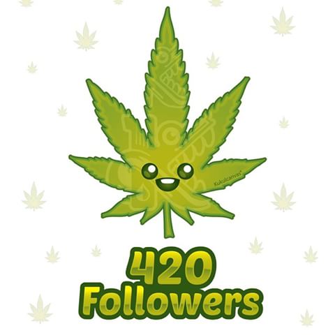 420 followers , for @ cannabissativa . It somehow felt like a milestone :)  — Steemit