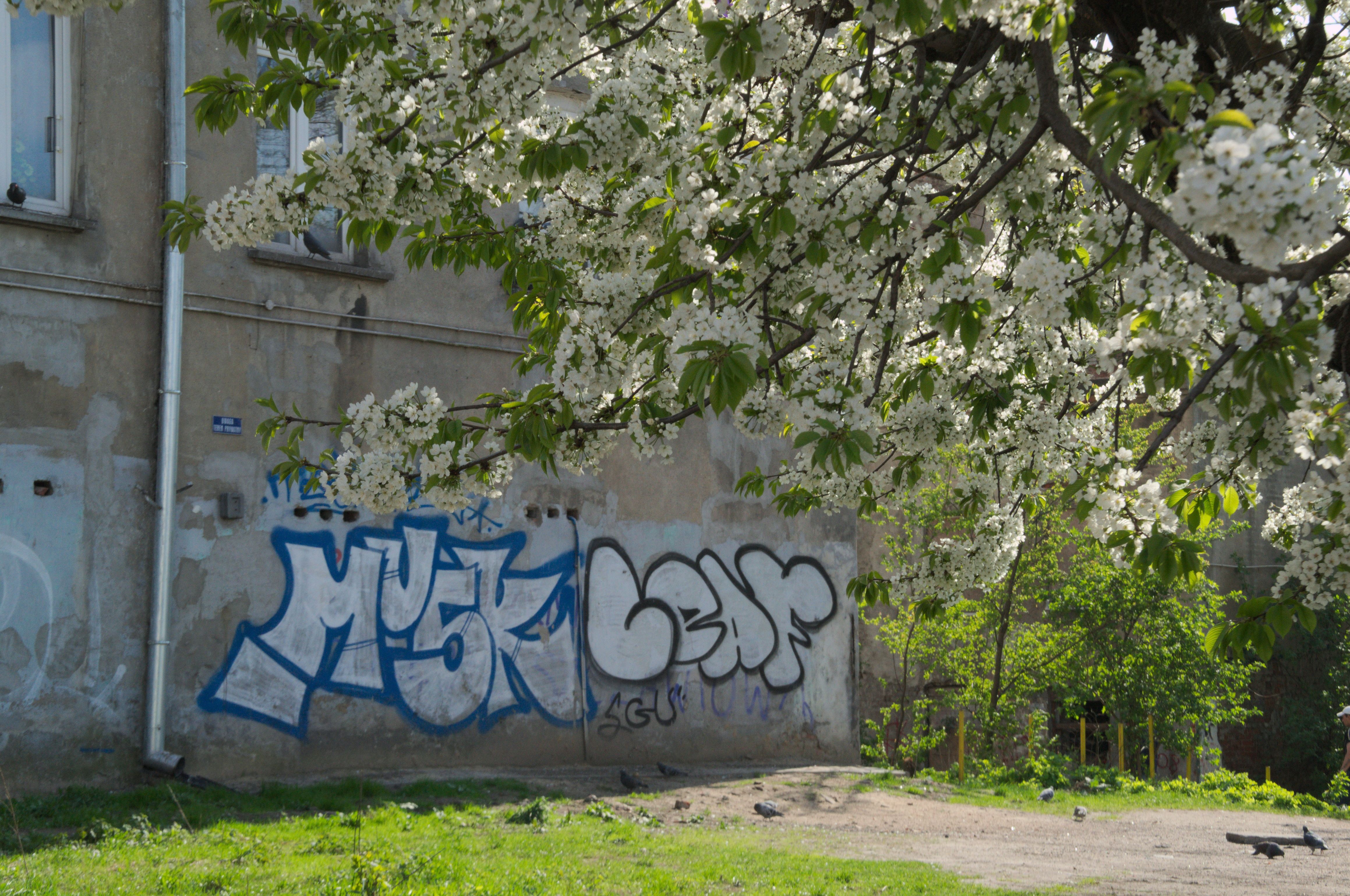 DSC_0063.jpg