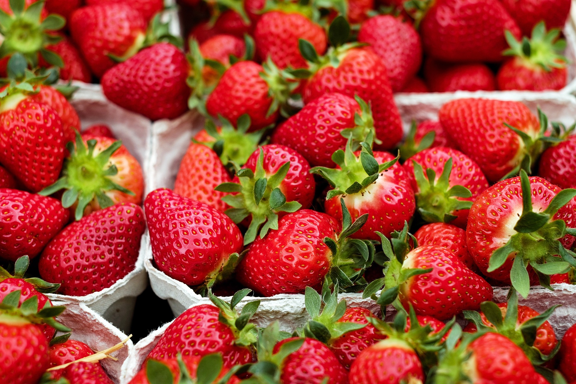 strawberries-1396330_1920.jpg