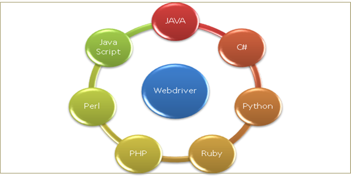WebDriver_2.png