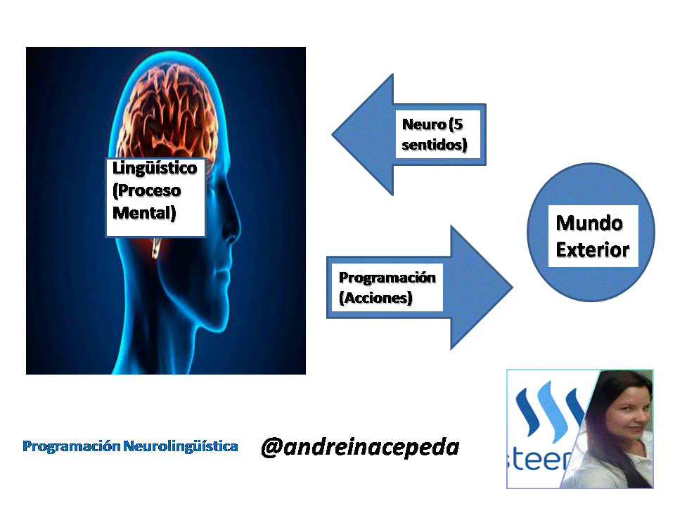 Programacion neurolinguistica.gif