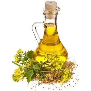 Dill Seed Oil.jpg