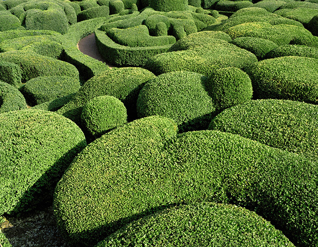 Marqueyssac-Topiary-Gardens-8.jpg