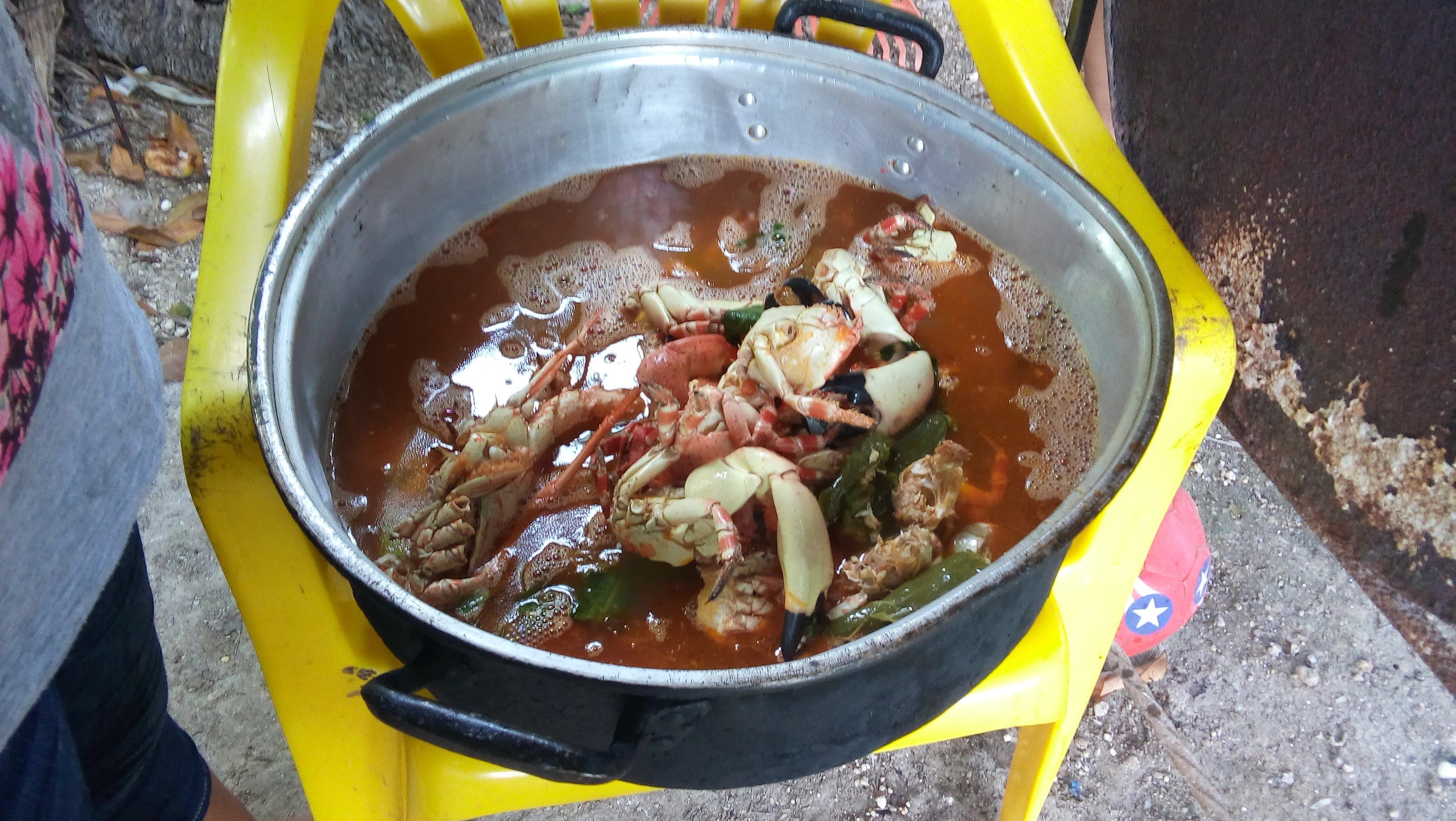 20160731_144141.jpg