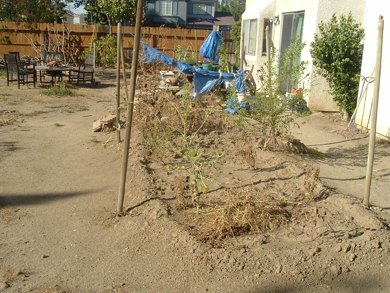 DSCF0118.JPG
