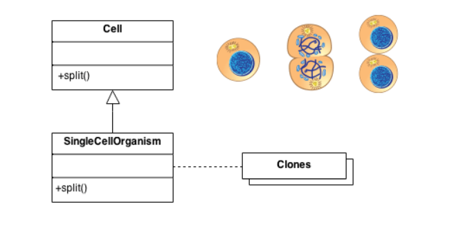 prototypeclonning.png