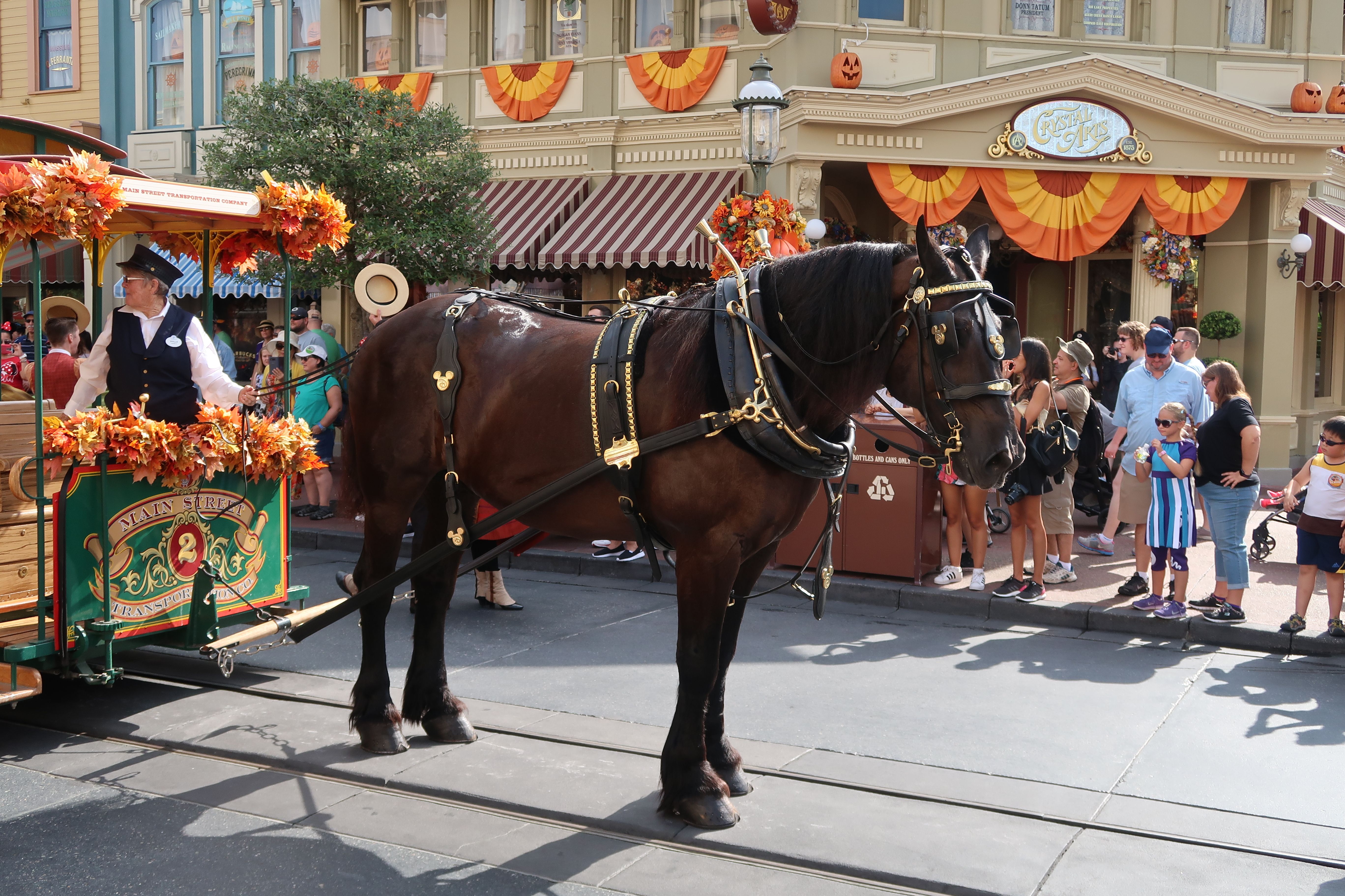 Logo fall horse landscape Magic Kingdom theme park at Walt Disney World Resort September 2017.JPG