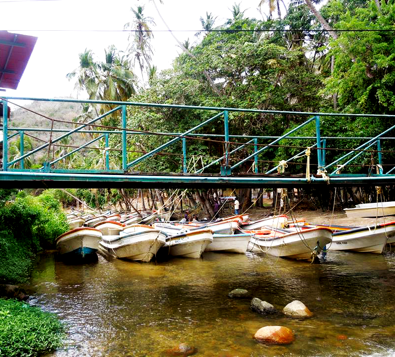 Tuja town.png