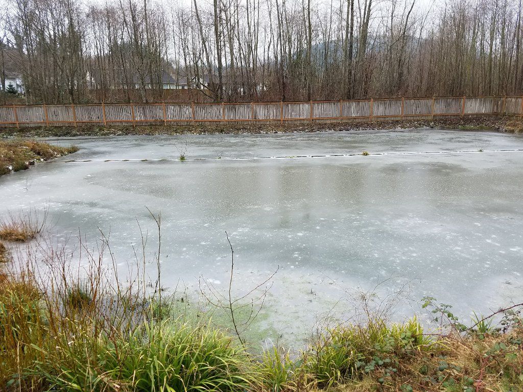 FrozenPond.jpg