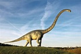 sauropod.jpg