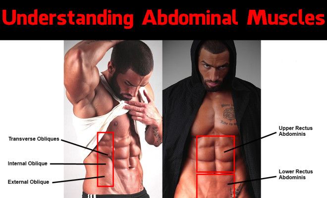 abdominal-muscles-e1400680618242.jpg