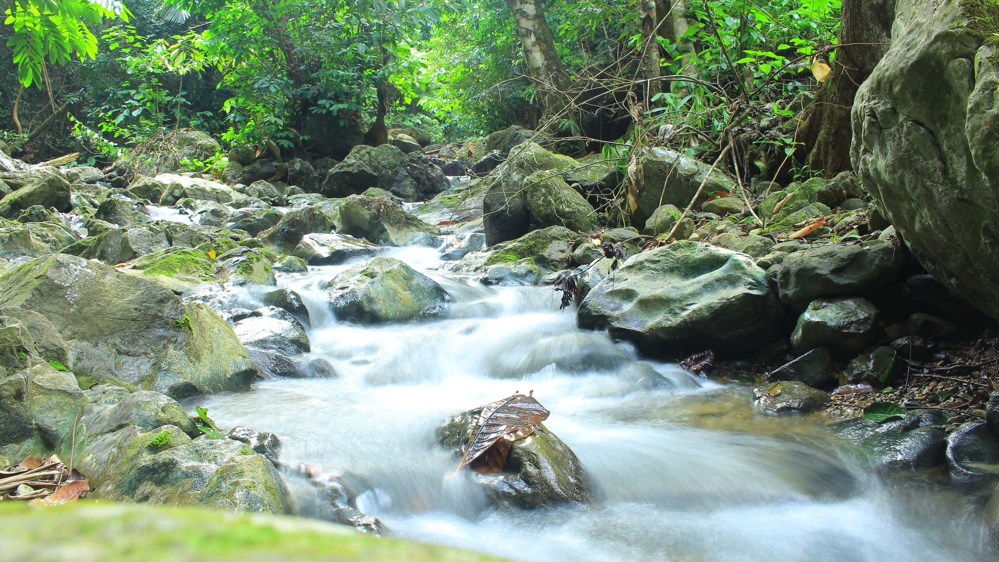 Tingkat Tujuh Aceh Selatan Steemit