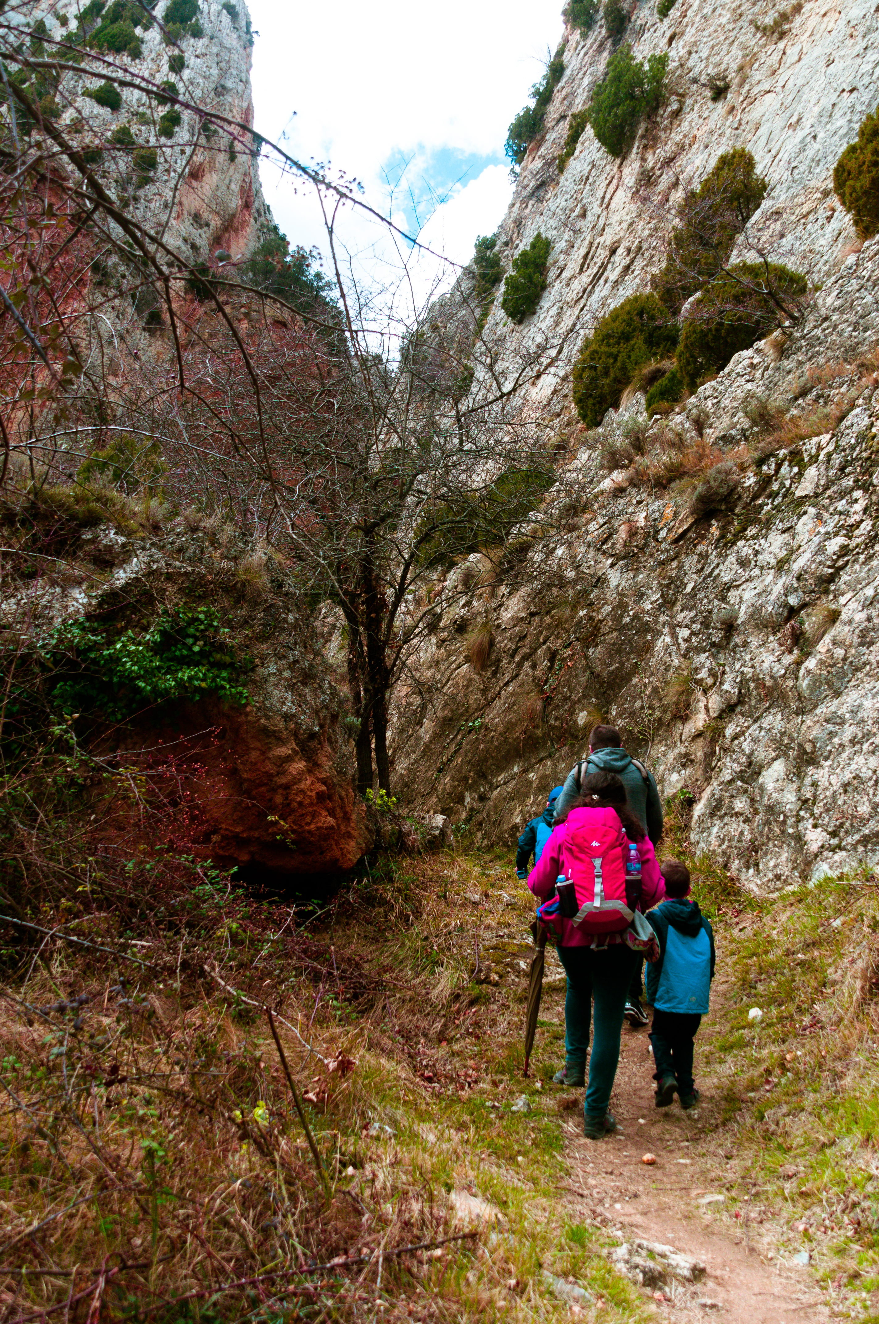 Excursión Martín del Río (48).jpg