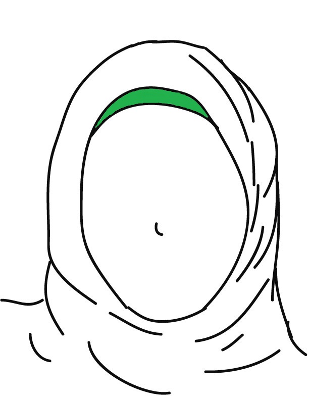 Nuha_logo.jpg