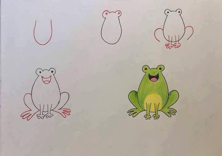 How to Draw a Frog – Emily Drawing