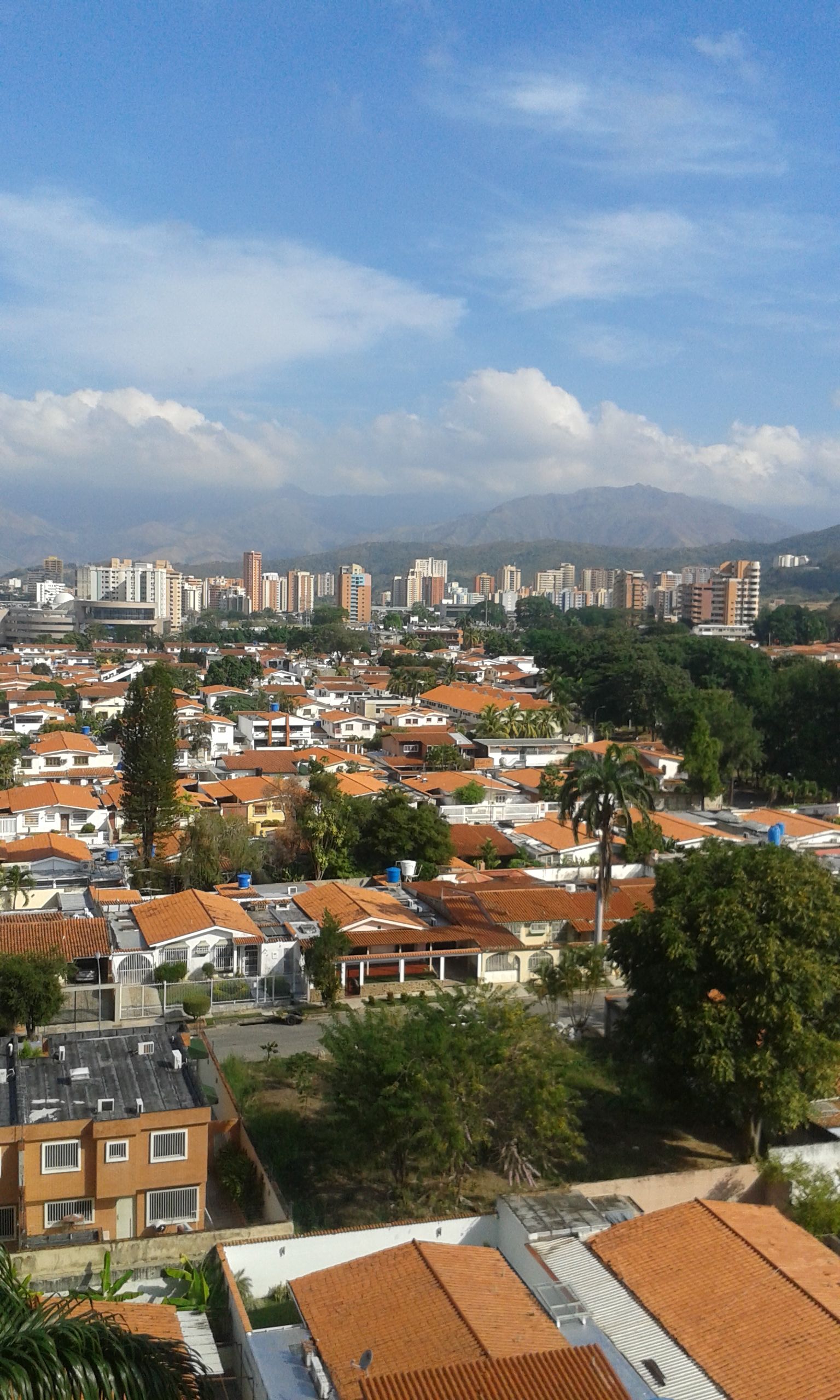 My Neigbordhood, Valencia, Venezuela.jpg