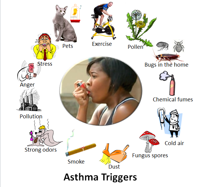 Asthma_triggers_2.PNG