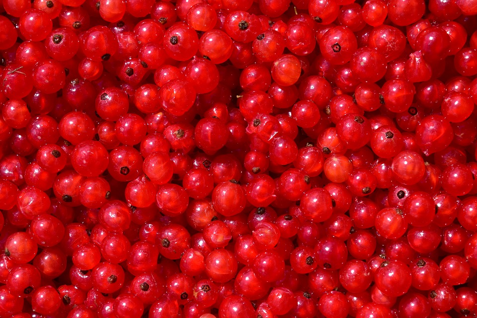 currants-1541208_960_720.jpg