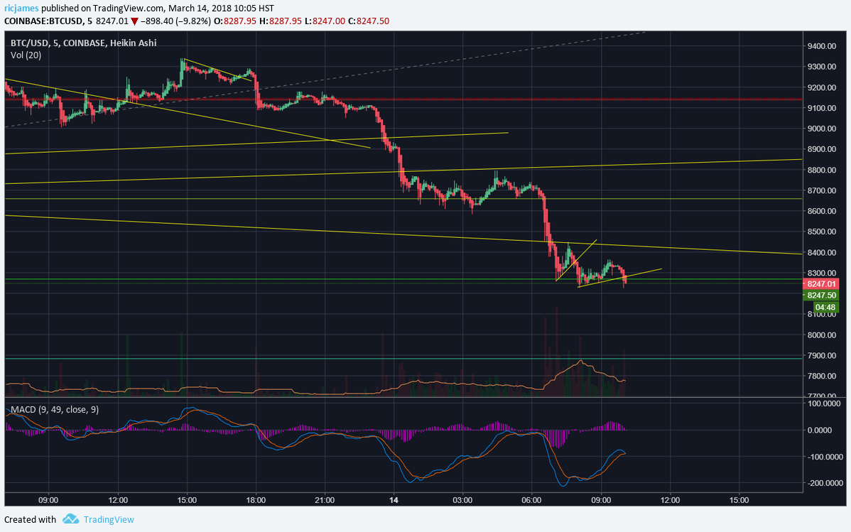 www.tradingview.png