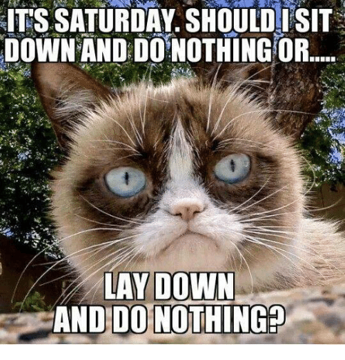 its-saturday-shouldisit-down-and-donothing-or-lay-down-and-20569217.png