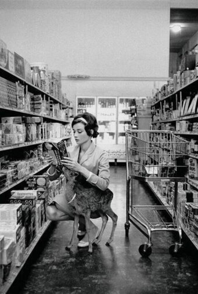 Audrey Hepburn shopping with her pet deer, Ip, in Beverly Hills, CA -1958 - Orig.jpg