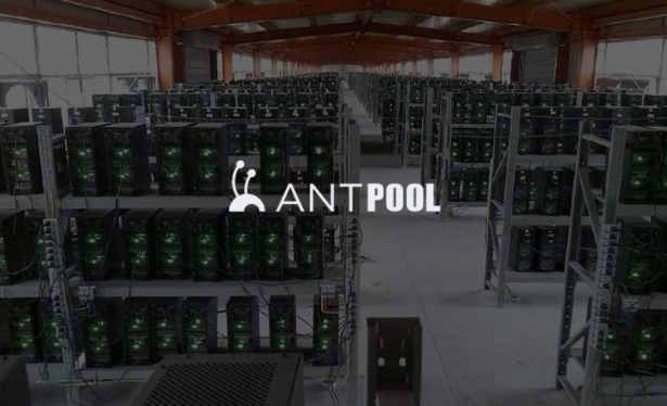 antpool.png