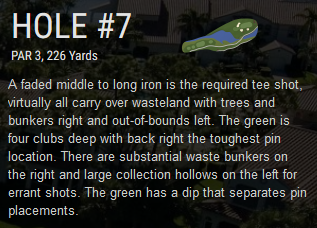 Hole7.png