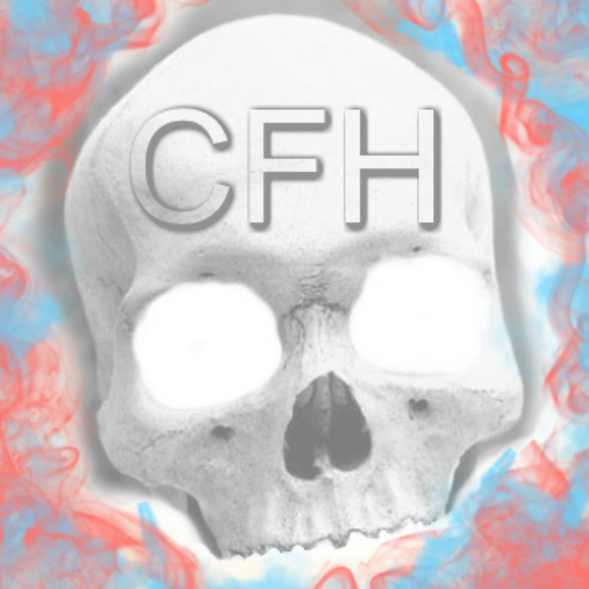 2x2 cfh cfh.jpg