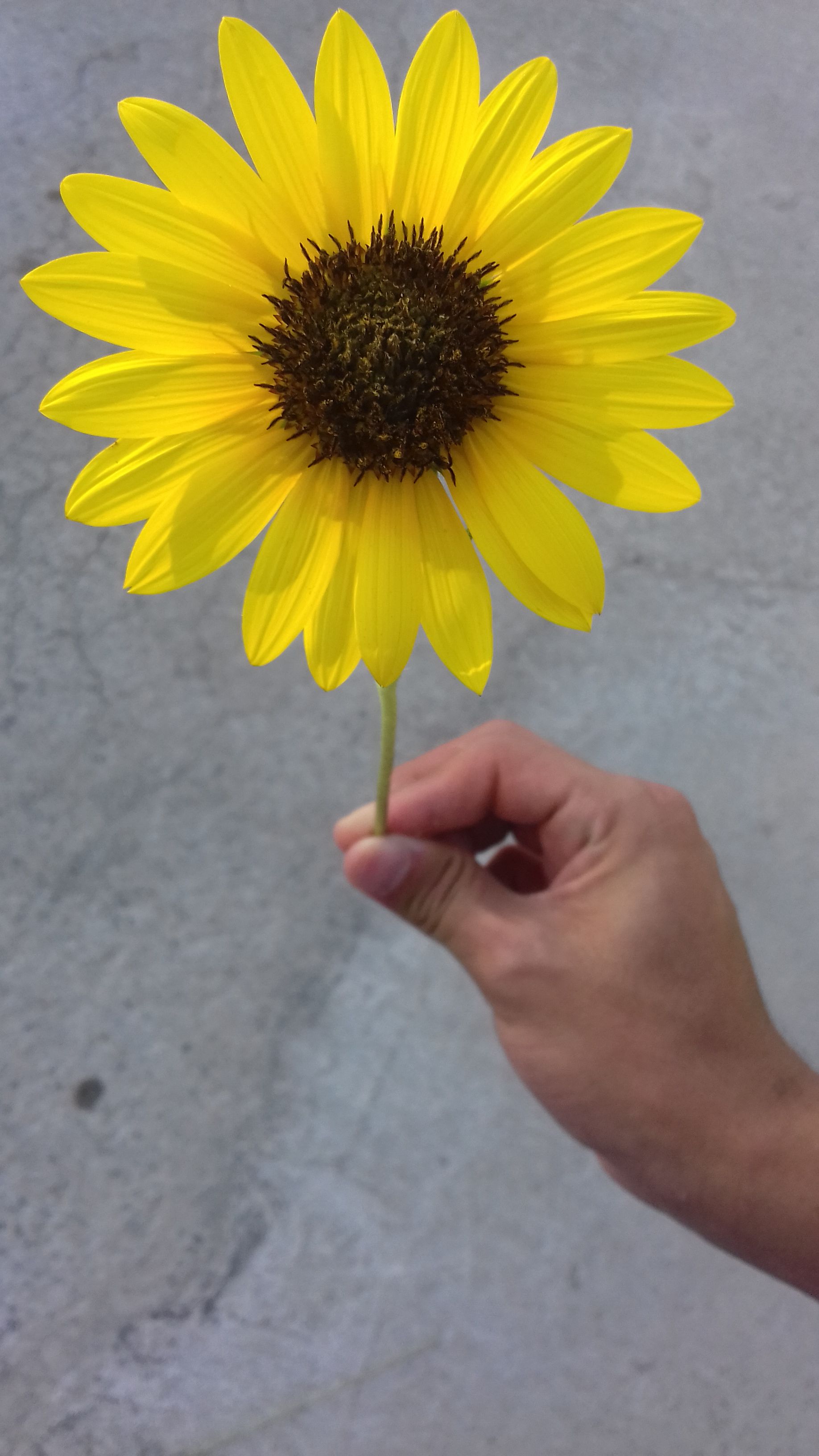20170619_193642.jpg