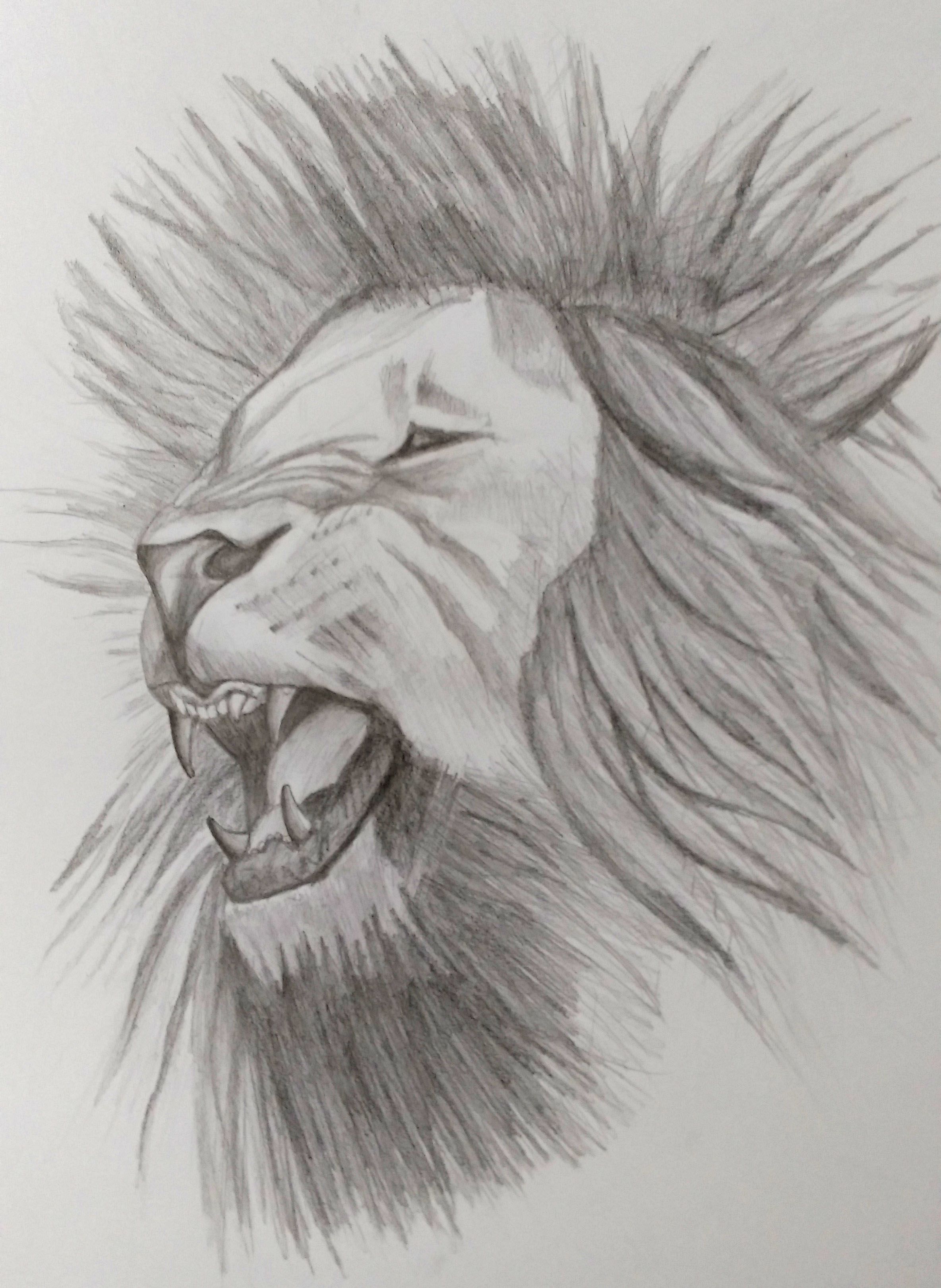 aslan1.jpg