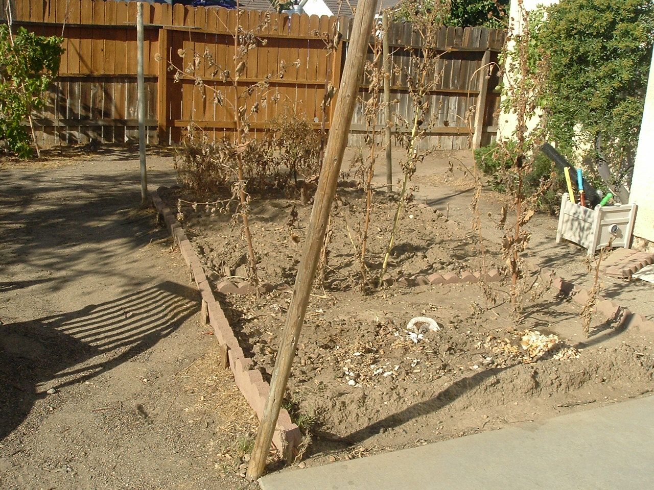 DSCF0119.JPG