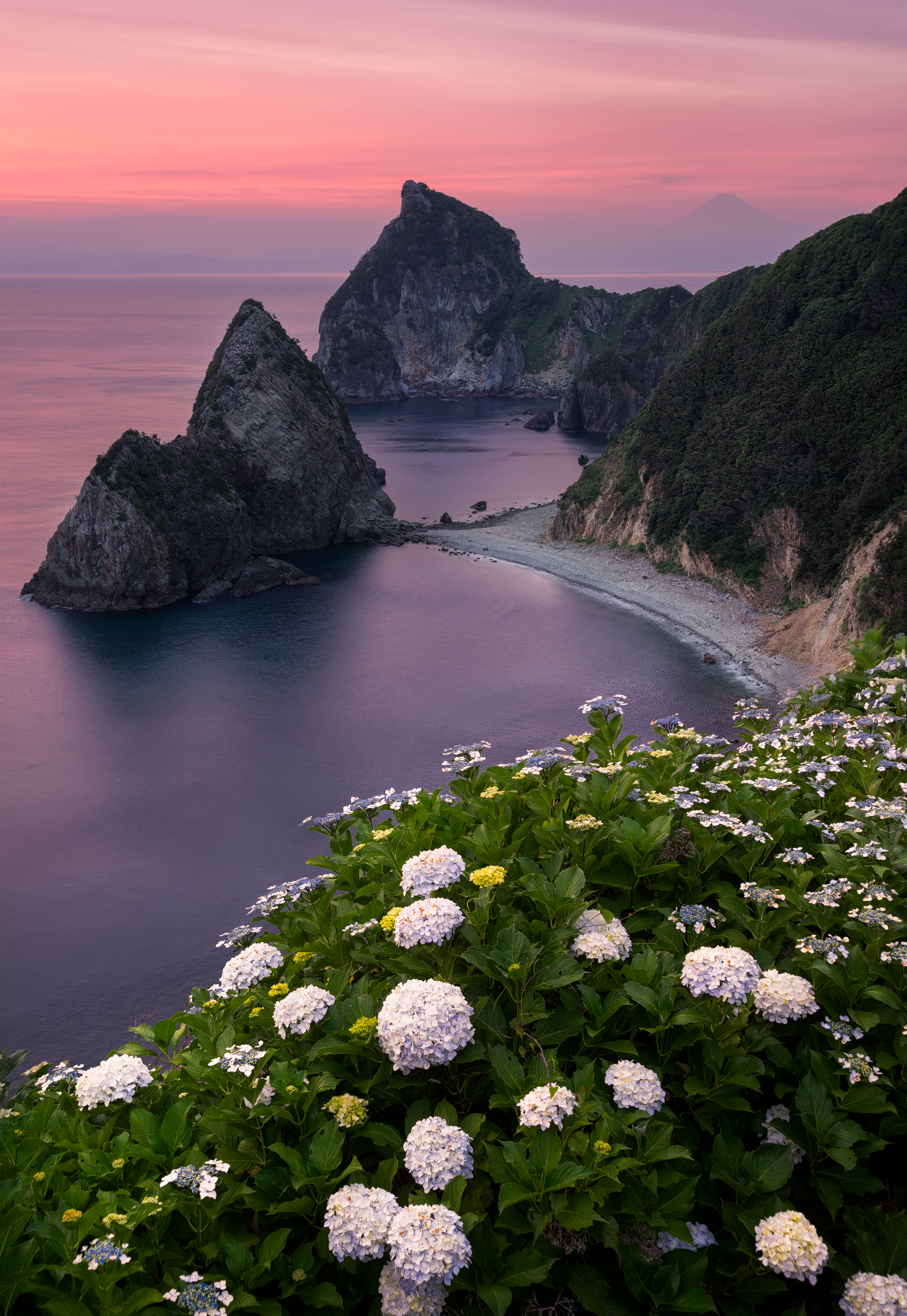 Izu Mt Fuji sunset.jpg