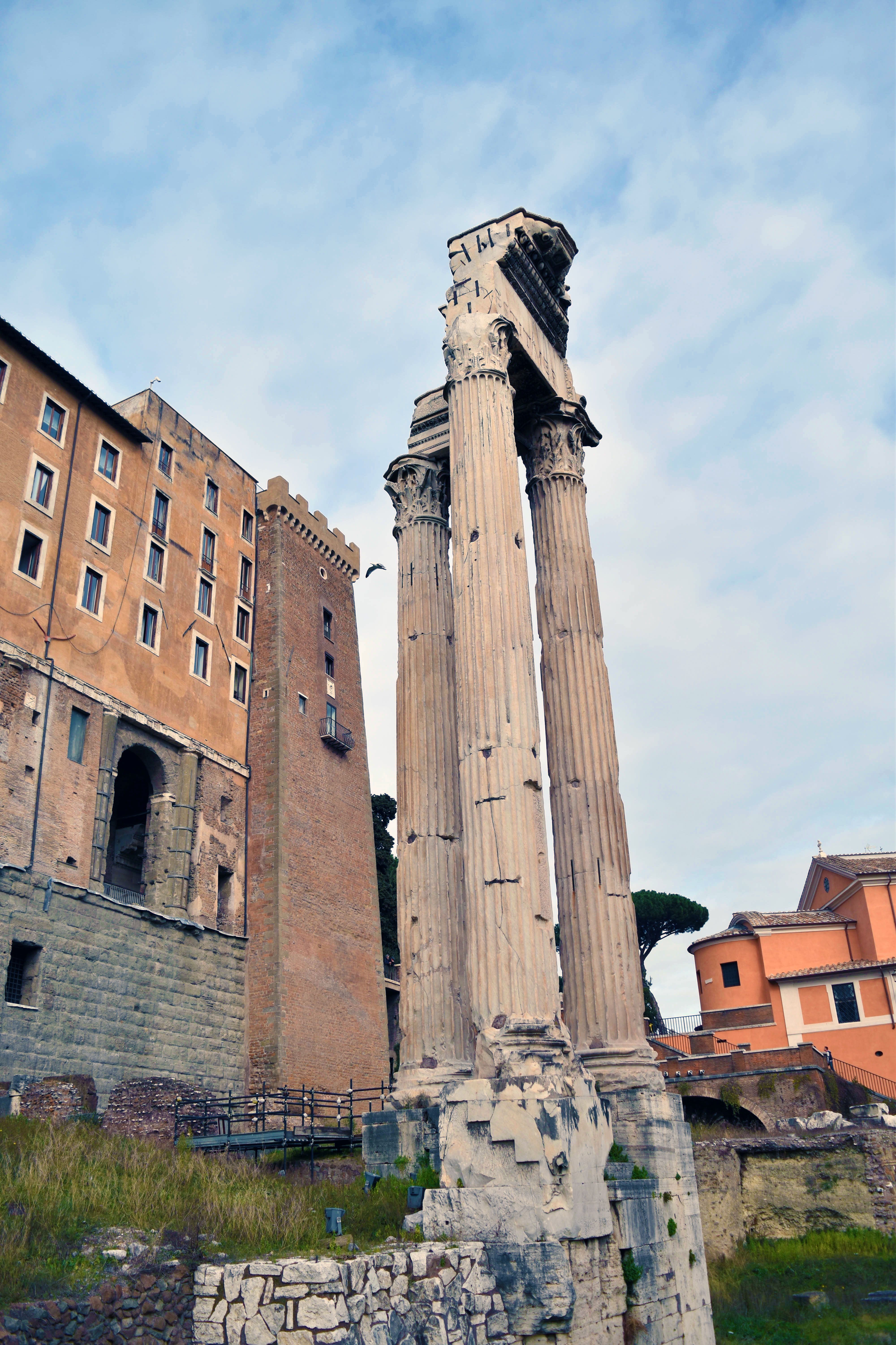 22_temple of vespasian and Titus.jpg