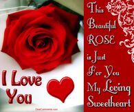 324356-This-Beautiful-Rose-Is-Just-For-You...my-Loving-Sweetheart.jpg