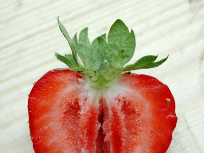 sliced-strawberry-fruit-.jpg