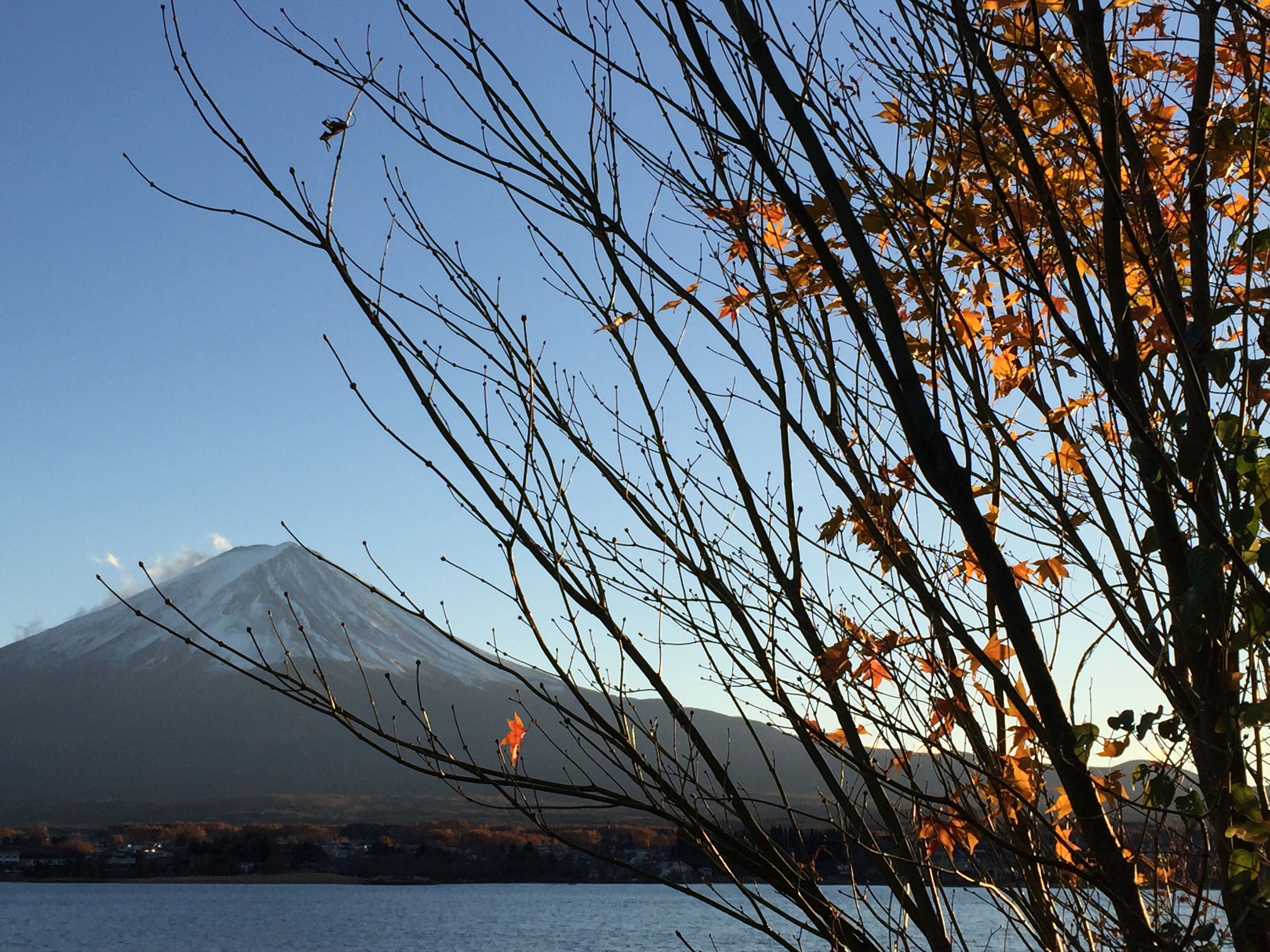 2017-11-19 16.11.24.jpg