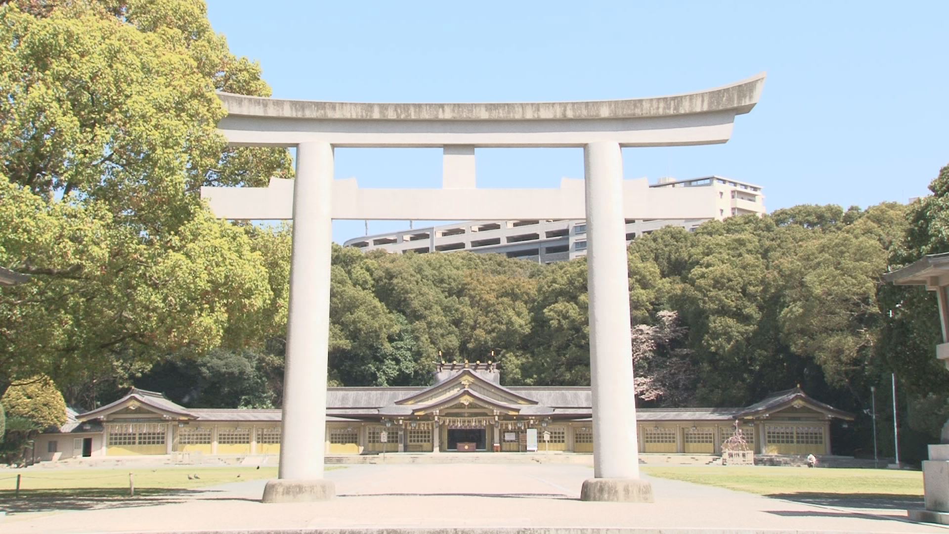 20100326_1037126.jpg