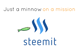 minnow.png