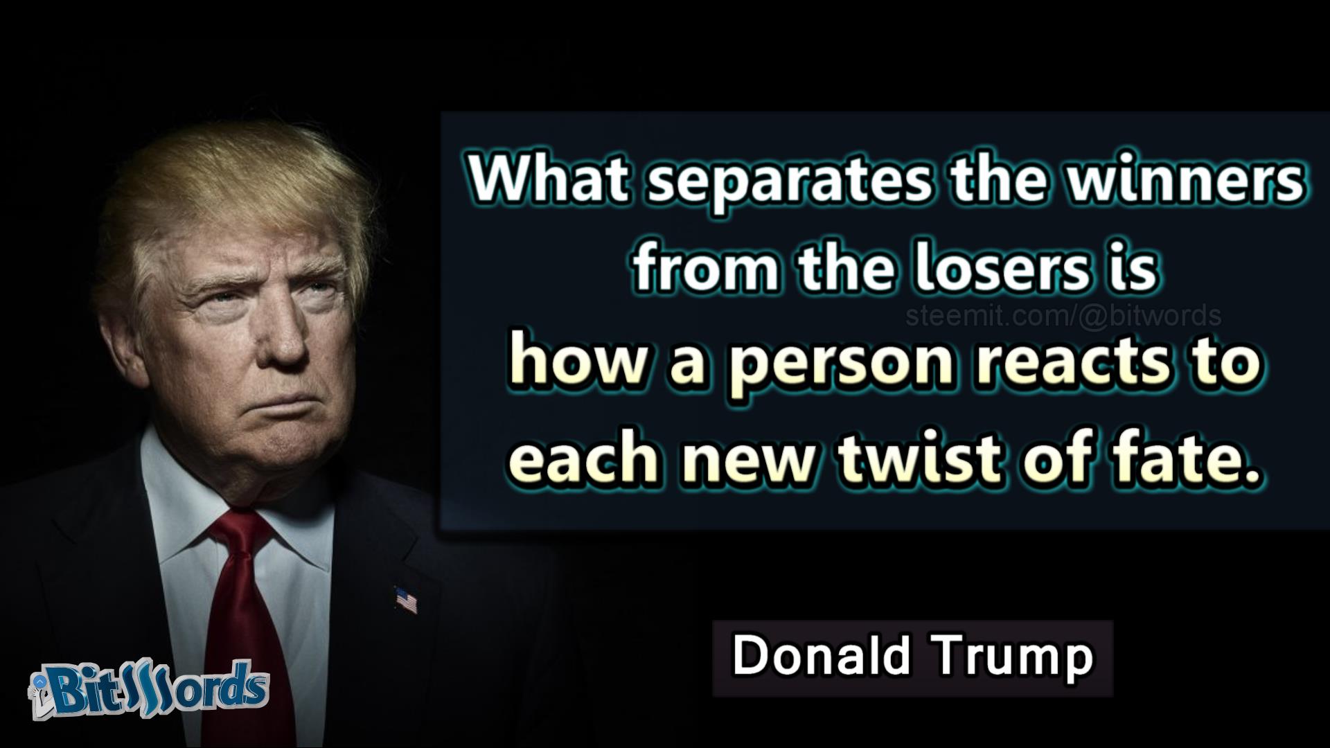 bitwords steemit What separates the winners from the losers is how a person reacts to each new twist of fate ddonald trump.jpg